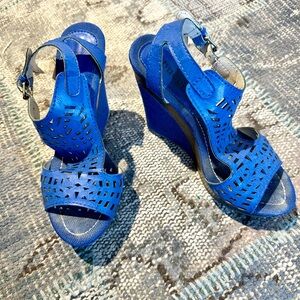 Platform Wedge Sandal